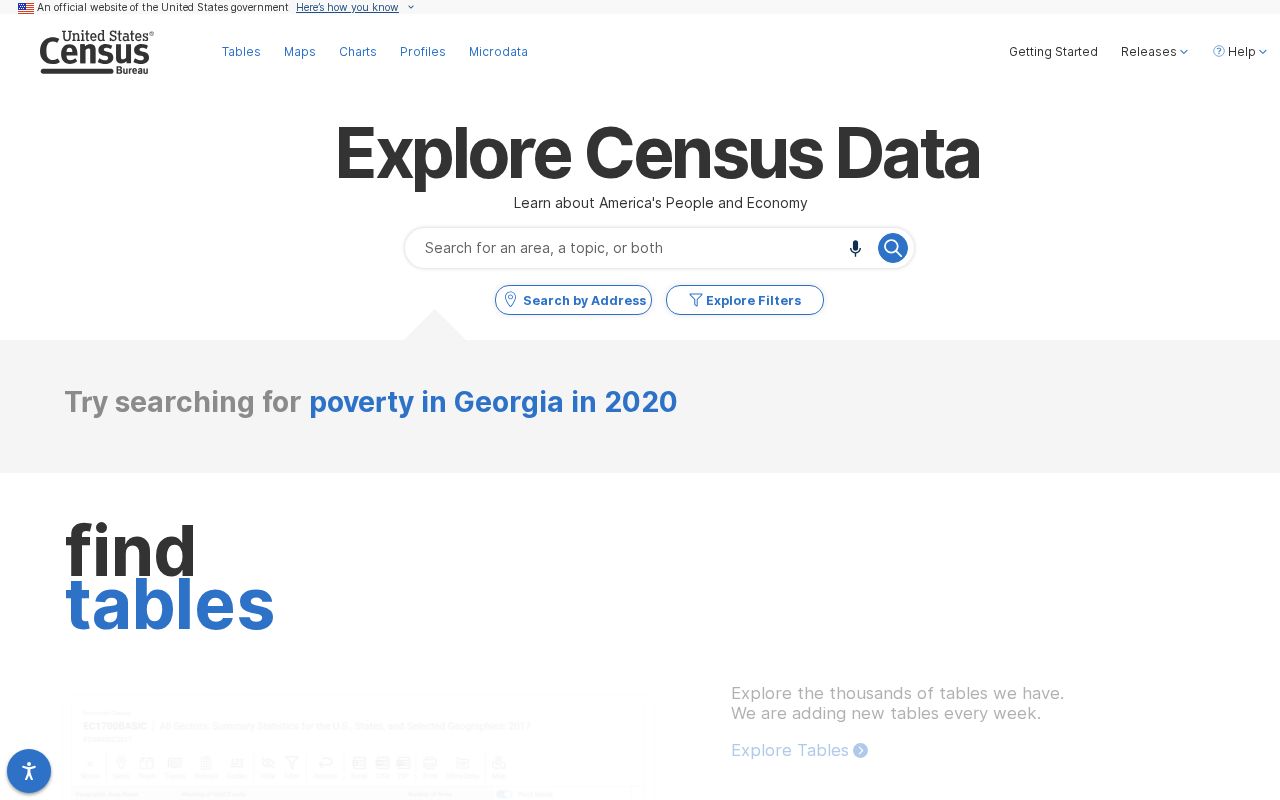 Official Census source identifying Ellaville as Schley County's only incorporated city