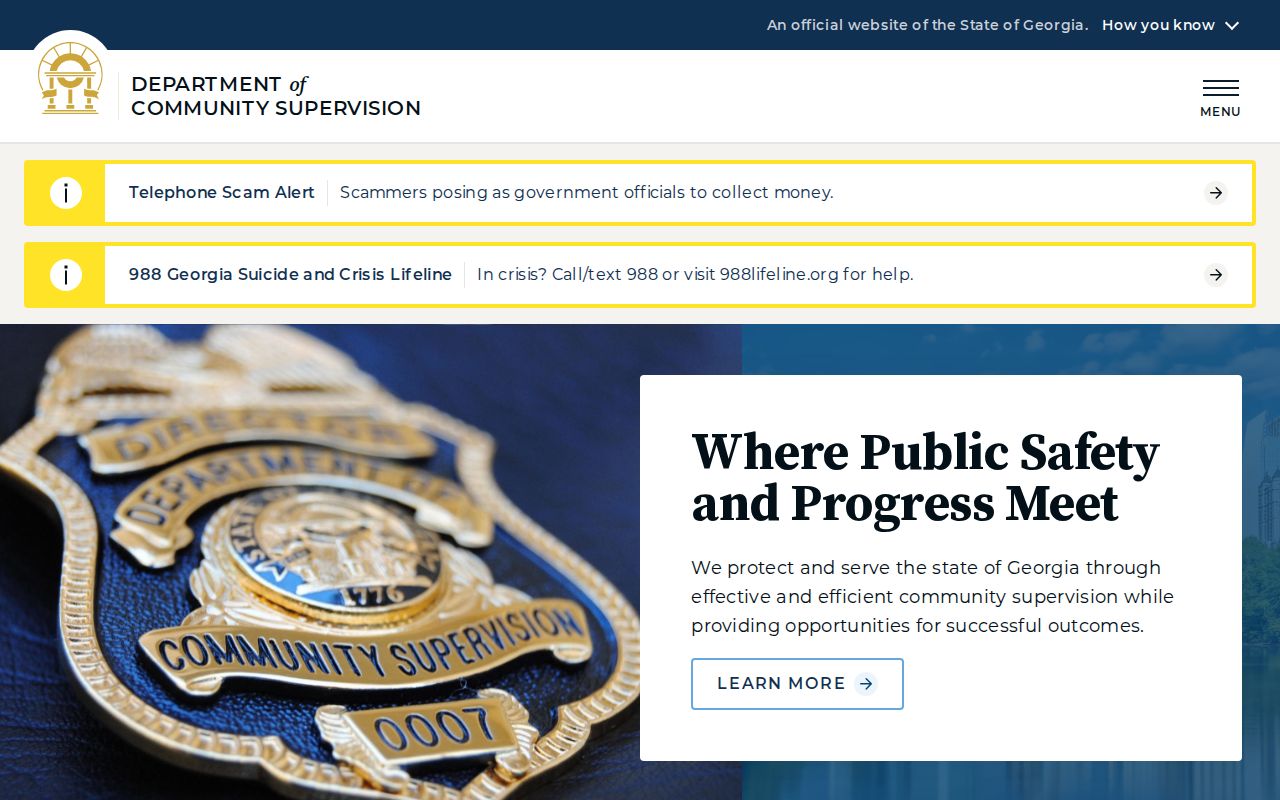 Georgia community supervision after a Schley County arrest case